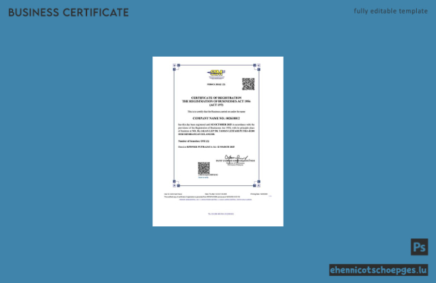 Malaysische Registrierungsurkunde – Beispielansicht (Word und PDF)